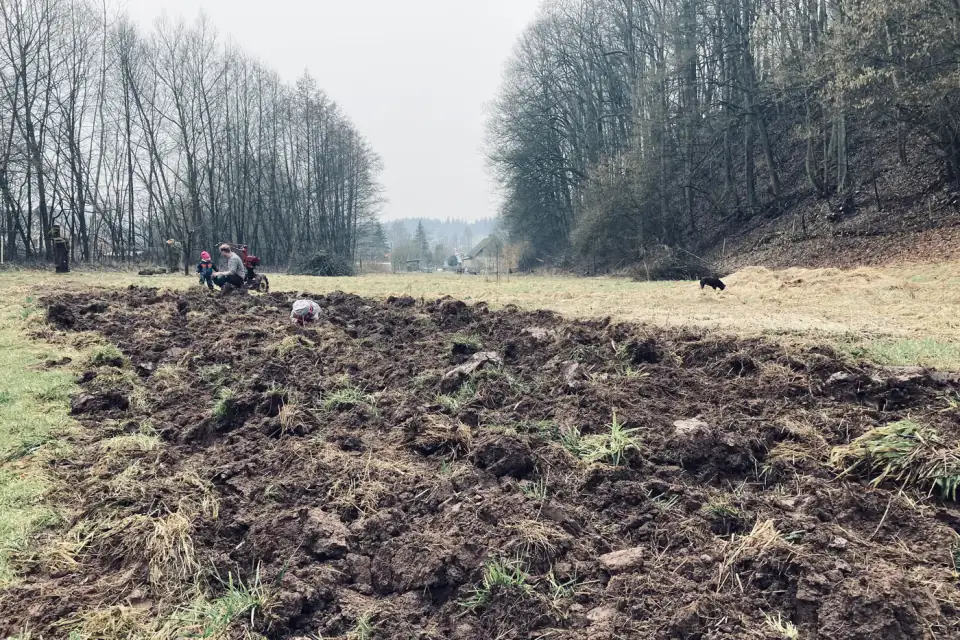 Vánoce a Silvestr