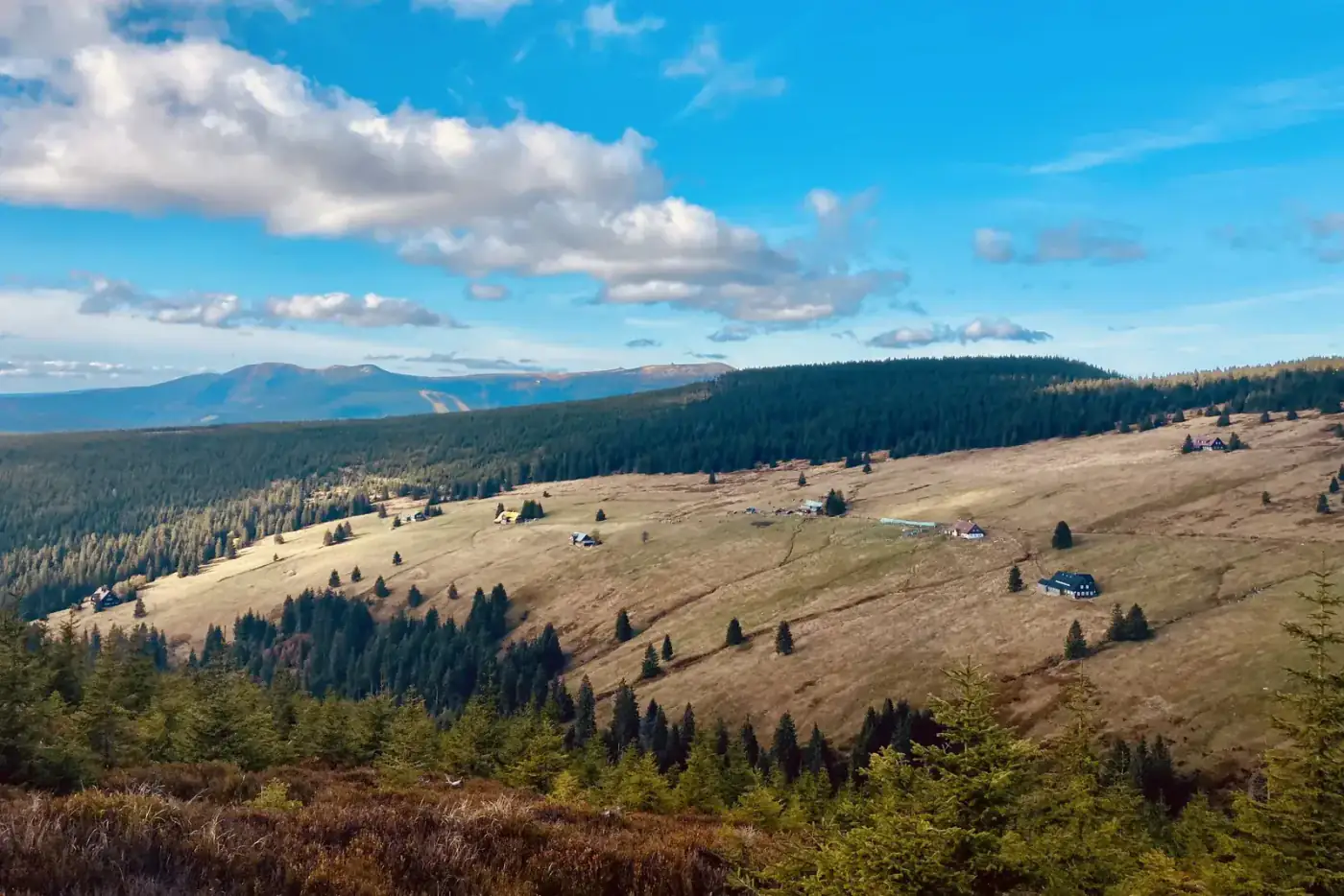 Výhled na Krkonoše z okolí Malého Labe