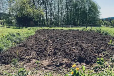 Zahrada u domu